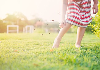 Awas! Saat Cuaca Panas Populasi Nyamuk Tumbuh Subur