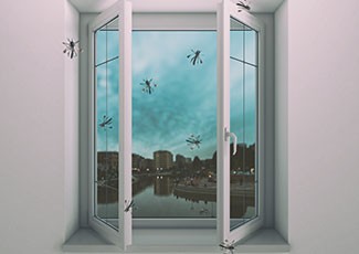 Trik Jitu Basmi Nyamuk di Rumah Dengan Cepat